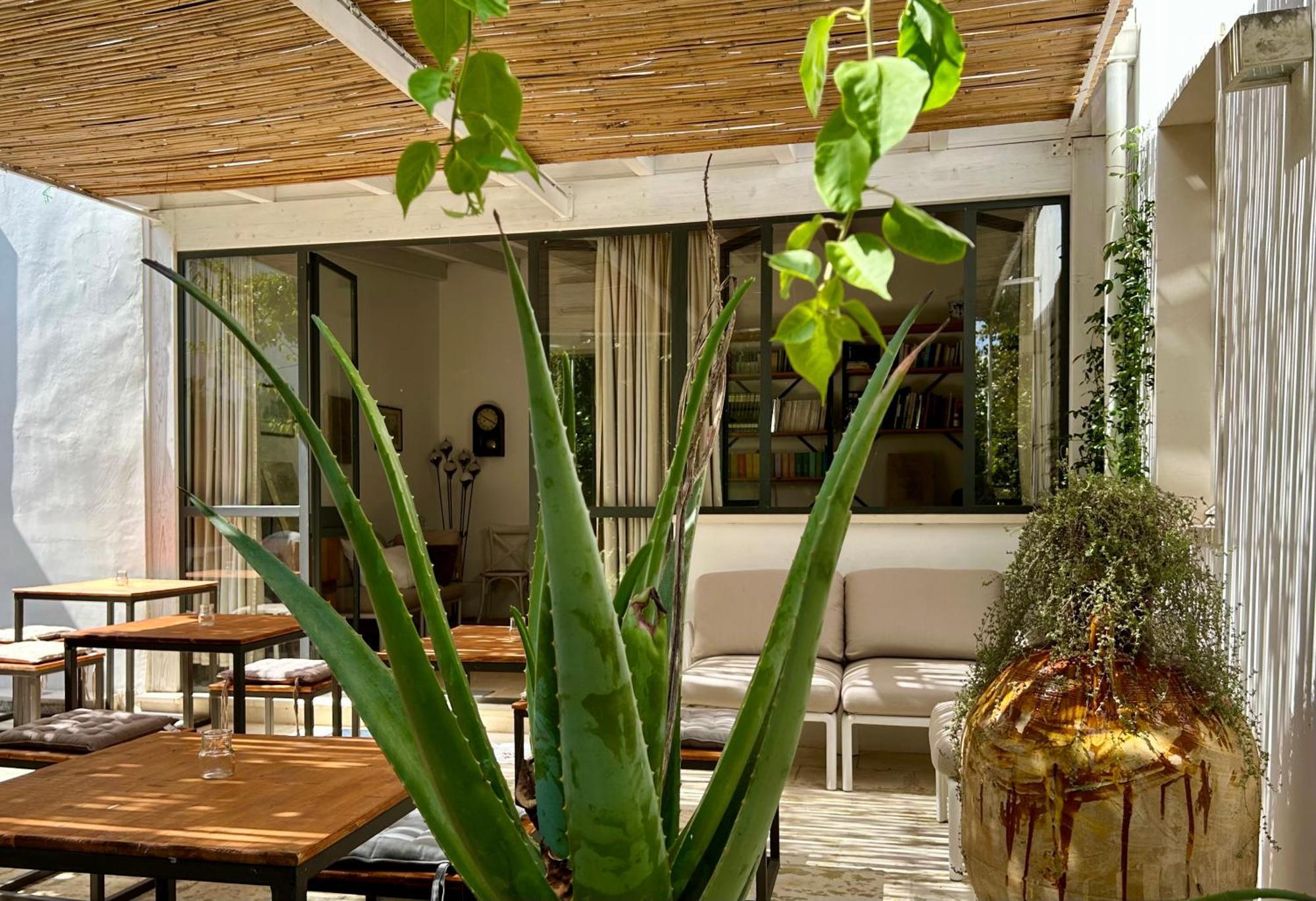 B&B Don Alessandro Surbo Exteriér fotografie