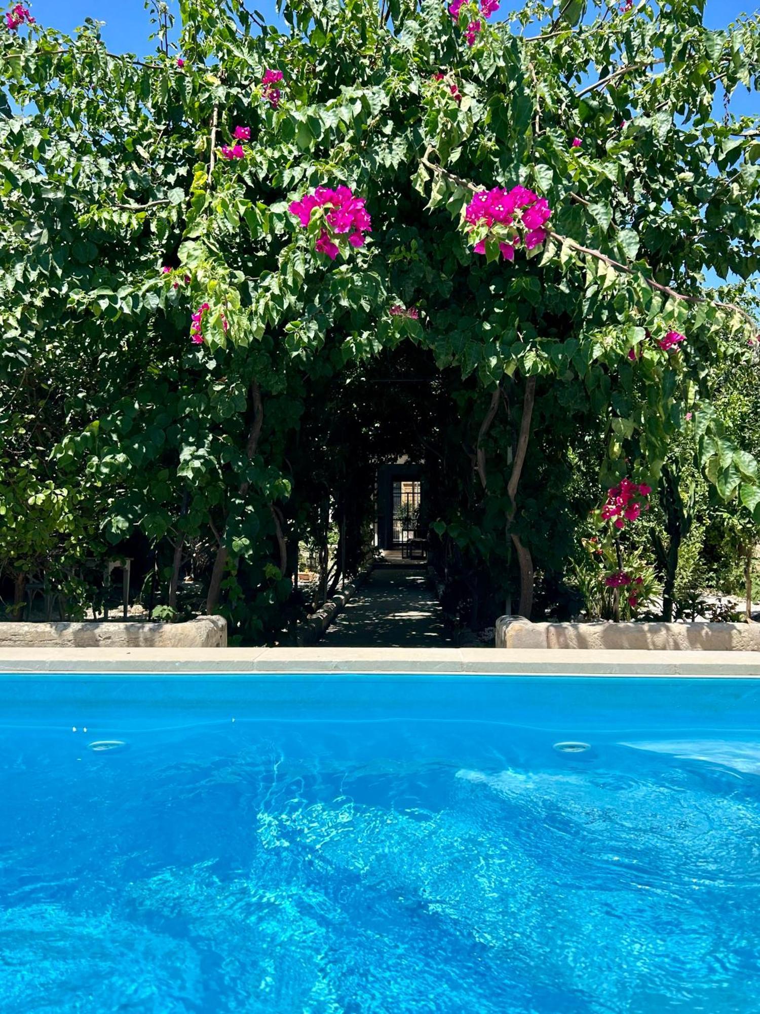B&B Don Alessandro Surbo Exteriér fotografie