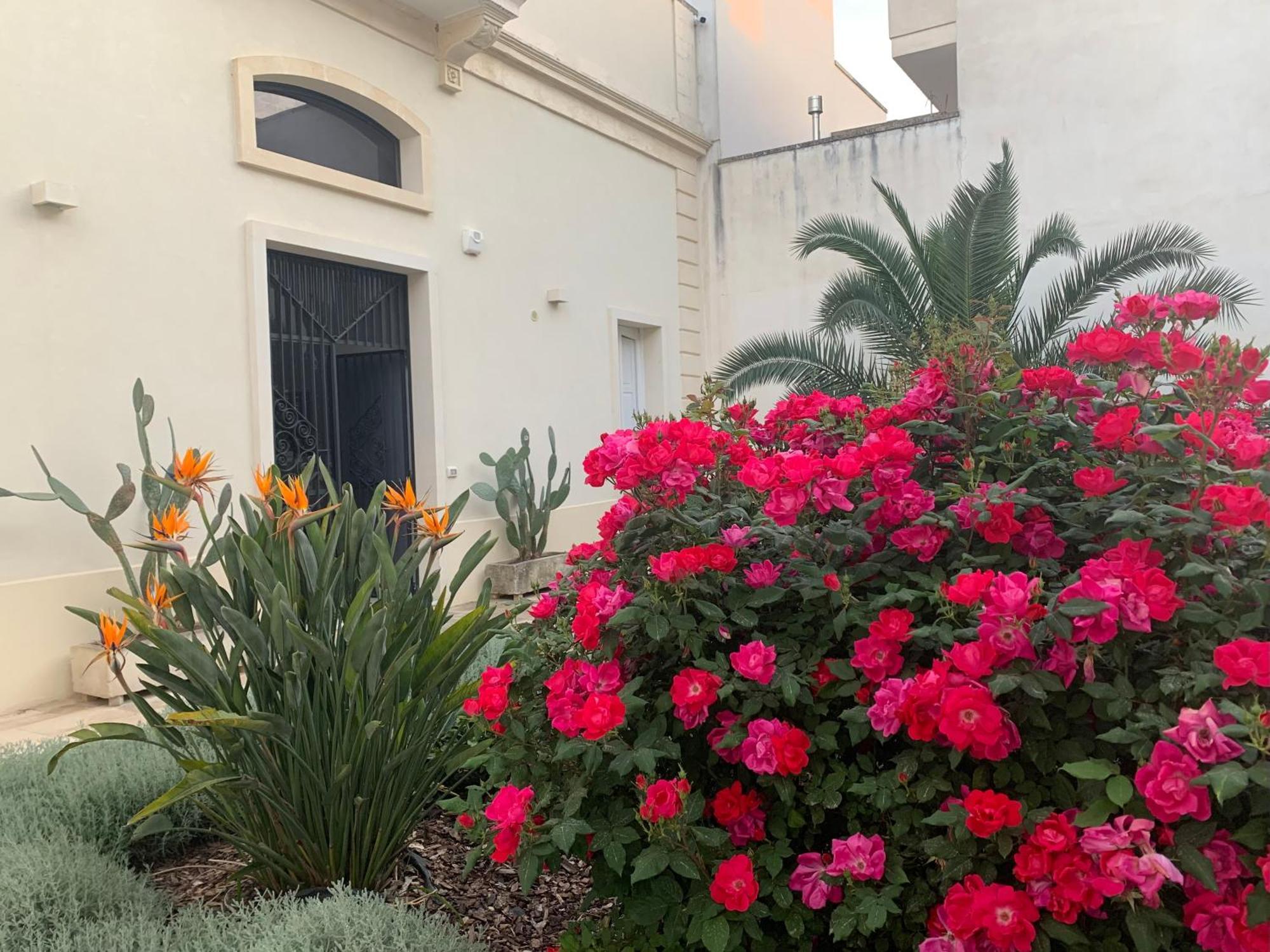 B&B Don Alessandro Surbo Exteriér fotografie